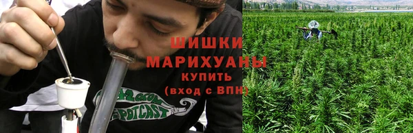 тгк Осинники