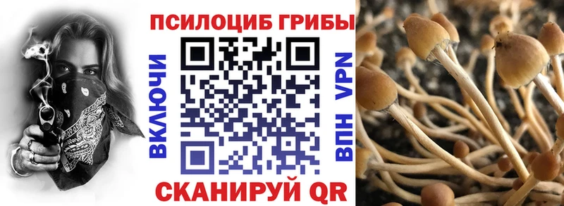 Галлюциногенные грибы Psilocybine cubensis  Свирск 